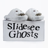 Slides See Ghosts